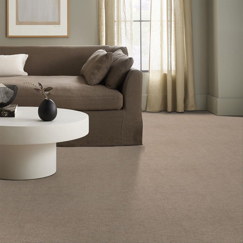 Anderson Tuftex Sneak Peek Carpet in Canyon Dust, , large