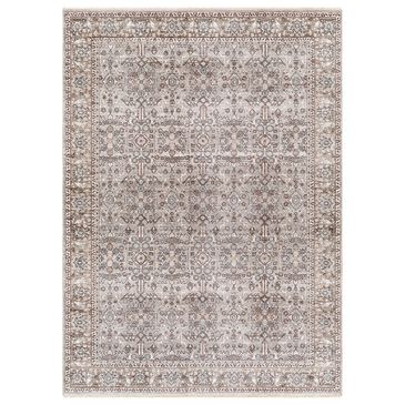 Surya Carlisle Oriental 5"3" x 7"9" Dusty Sage, Light Gray, Dusty Pink, Ivory, Pale Blue and Charcoal Area Rug, , large