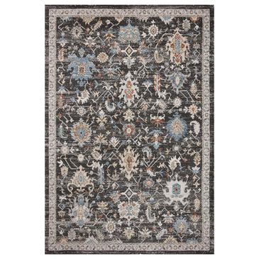 Loloi II Odette 4" x 6" Charcoal and Multicolor Area Rug, , large