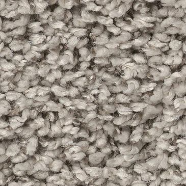 Anderson Tuftex Fan Favorite Carpet in Brushed Nickel, , large