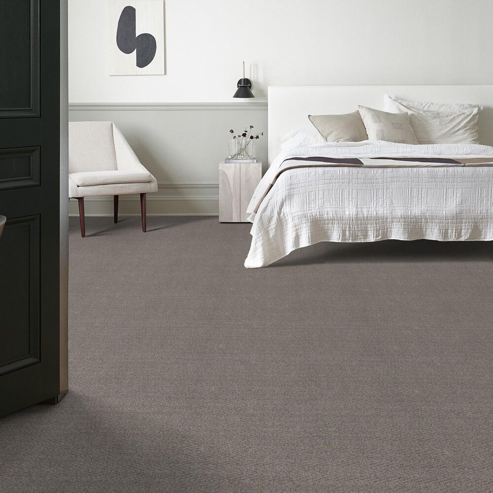 Anderson Tuftex Kit Carpet in Sensible, , large