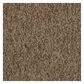 Shaw Sound Advice 24" x 24" Carpet Tile in Do the Work, , large