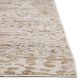 Dalyn Rug Company Denizi Abstract 9" x 13"2" Mocha Area Rug, , large