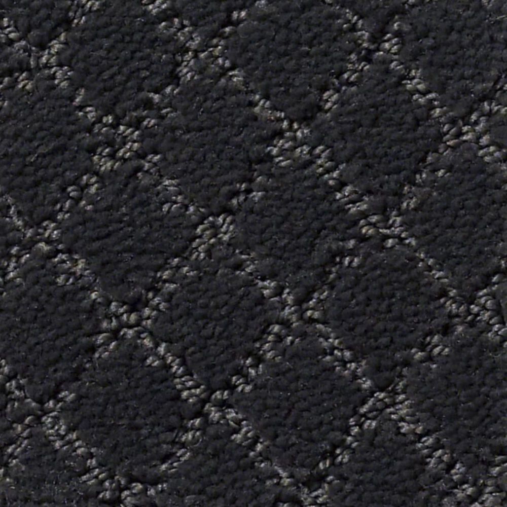 Anderson Tuftex Off Leash Carpet in Night Shade, , large