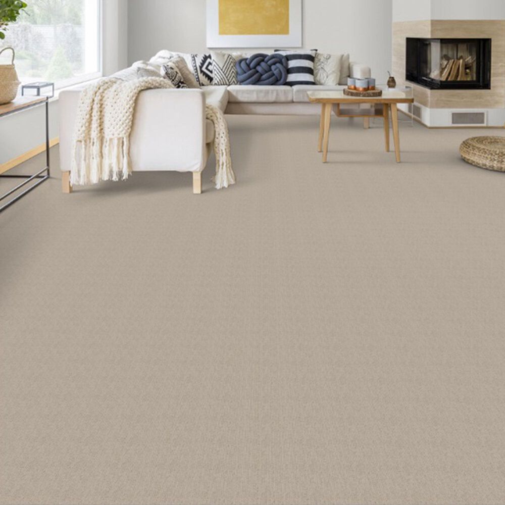 Dixie Home Worthington Carpet in Tinge, , large