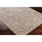 Surya Carlisle 5"3" x 7"9" Sage, Ivory, Pale Blue, Charcoal and Brown Area Rug, , large