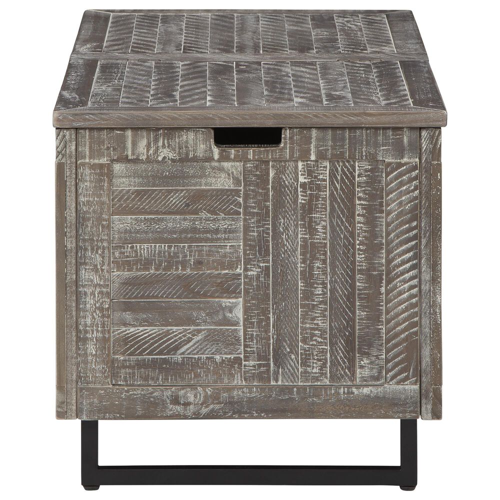Signature Design by Ashley Coltport Storage Trunk in Distressed Gray, , large