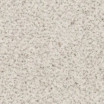 Mohawk Blended Moments Carpet in Pearl, , large