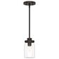 Hunter Devon Park 19008 1-Light Mini Pendant in Onyx Bengal, , large