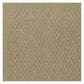 Shaw Latest Trend Carpet in Alpaca, , large