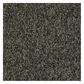 Shaw Sound Advice 24" x 24" Carpet Tile in Hold the Line, , large