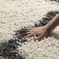 Safavieh Dallas Shag SGD257H-5 5"1" x 7"6" Ivory/Dark Grey Area Rug, , large