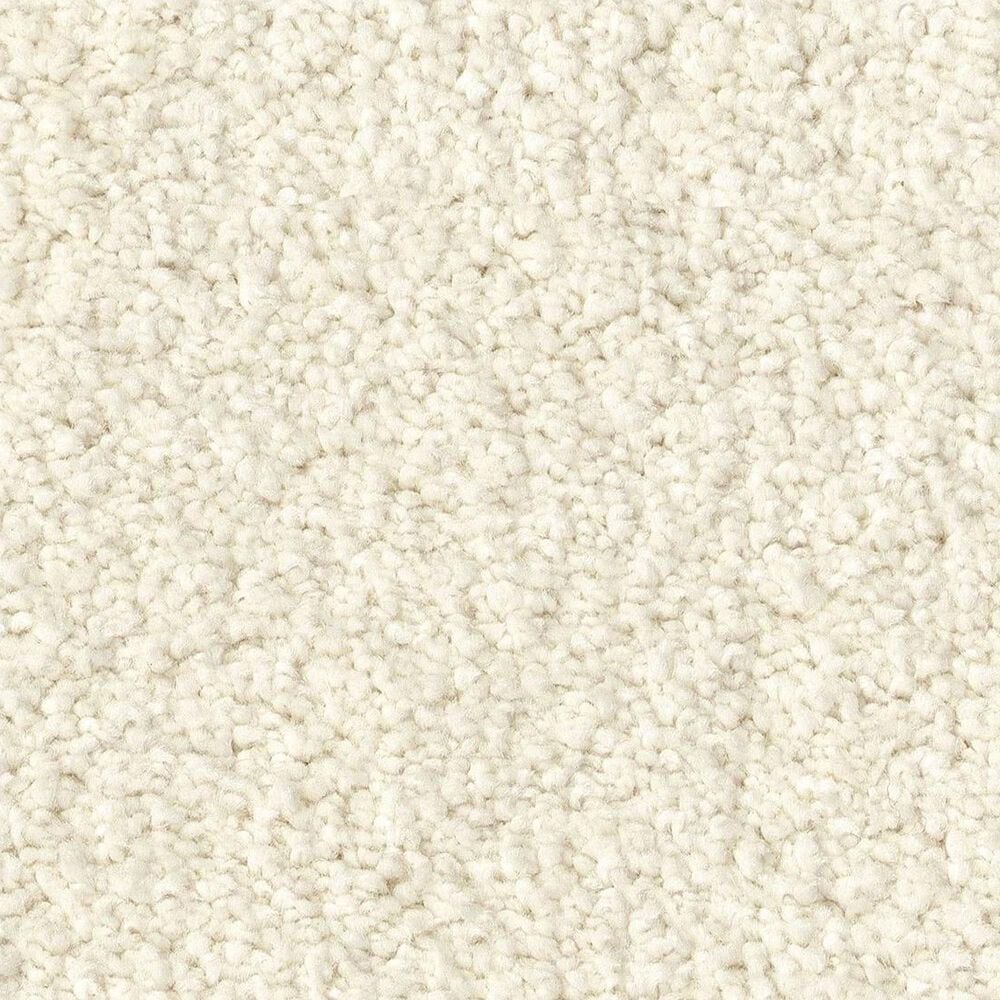 Anderson Tuftex Luxe Feel I Carpet in Icelandic, , large