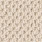 Anderson Tuftex Gracious Carpet in Ivory Paper, , large