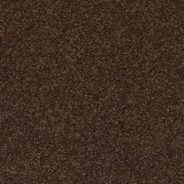 Mohawk Quality Feeling Carpet in Dark Fudge, , large