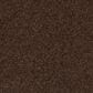 Mohawk Quality Feeling Carpet in Dark Fudge, , large