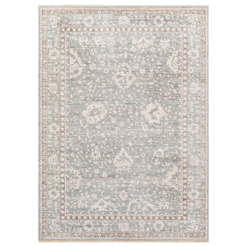 Surya Carlisle 3"11" x 5"11" Light Sage, Pale Blue, Light Gray and Ivory Area Rug, , large