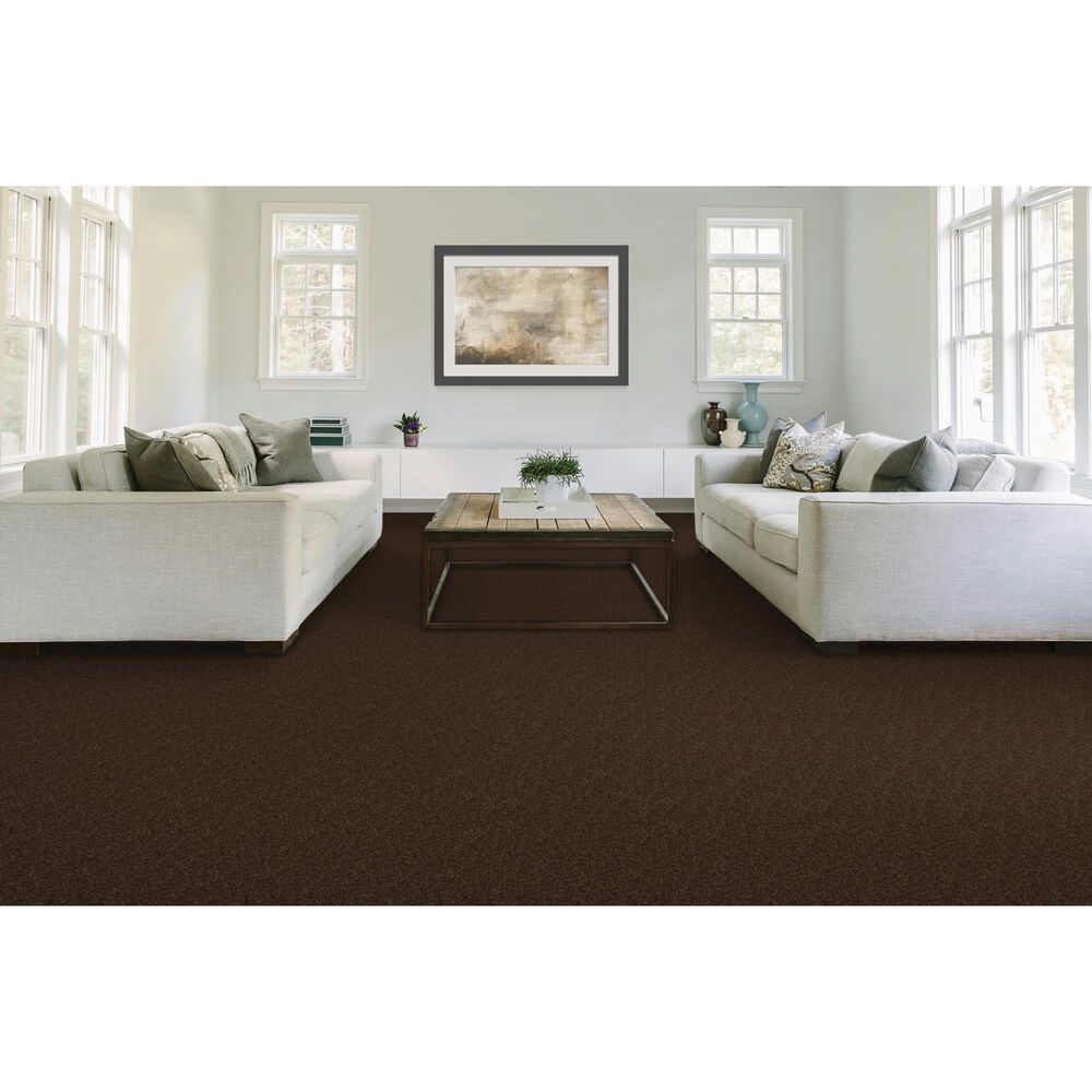 Mohawk Quality Feeling Carpet in Dark Fudge, , large