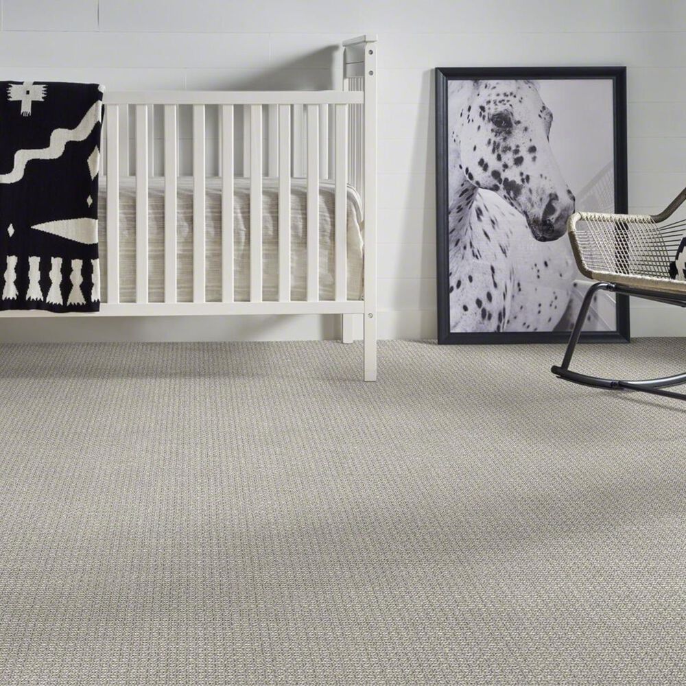 Shaw Fetch Carpet in Oxford, , large