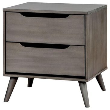 Furniture of America Lennart 2-Drawer Nightstand in Gray, , large