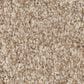 Anderson Tuftex Bossa Nova Carpet in Beach Grass, , large