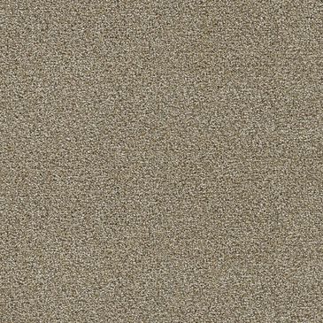 Dream Weaver Clearwater II Carpet in Toasted Oat, , large