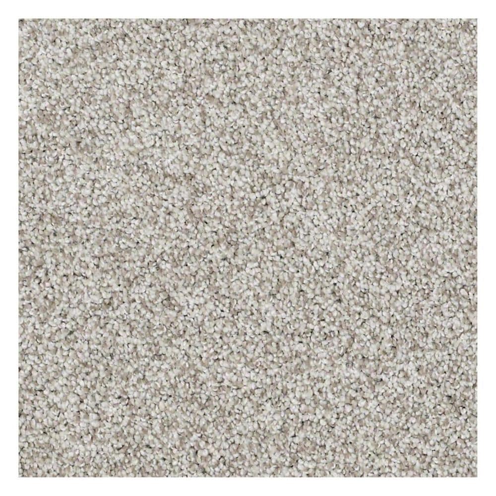 Shaw Detailed Tonal Carpet in Mesa, , large