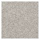 Shaw Detailed Tonal Carpet in Mesa, , large