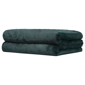 Apparis Brady 50" x 60" Throw Blanket in Emerald Green, , large