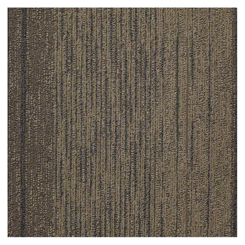 Shaw Unscripted 24" x 24" Carpet Tile in Reality TV, , large