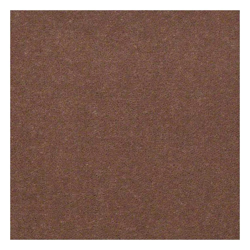 Shaw Emphatic 30 Carpet in Koala, , large