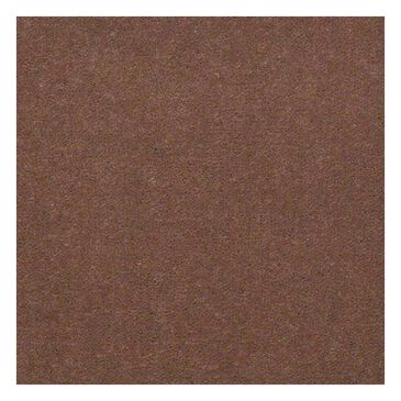 Shaw Emphatic 30 Carpet in Koala, , large