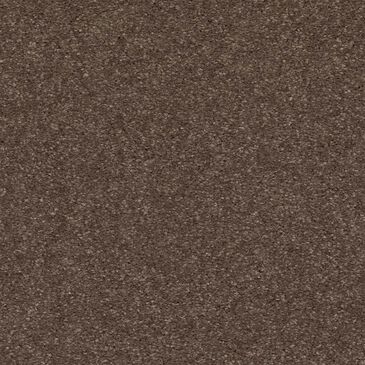 Mohawk Quality Life Carpet in Fortress, , large