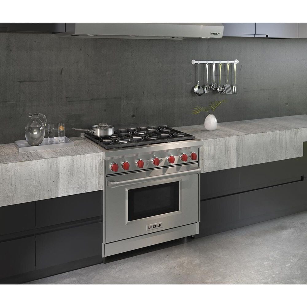 Wolf 48 Professional Gas Range, NFM