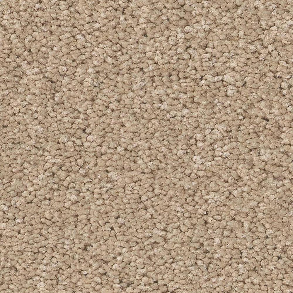 Anderson Tuftex Enduring Charm Carpet in Transparent, , large