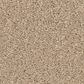 Anderson Tuftex Enduring Charm Carpet in Transparent, , large