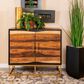 Pacific Landing 2-Door Accent Cabinet in Black Walnut and Gold, , large