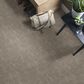 Anderson Tuftex Private Retreat Carpet in Shady, , large