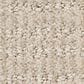 Shaw Insightful Way Carpet in Passageway, , large