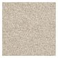 Shaw Detailed Tonal Carpet in French Linen, , large