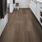 Shaw Cattitude Glogg 7" x 48" Luxury Vinyl Plank, , large