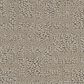 Anderson Tuftex Art District Carpet in Shell, , large