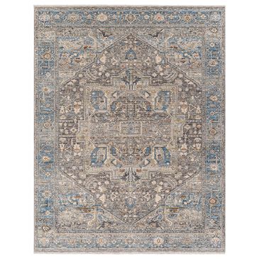 Surya Chicago CHG2313 7"10" x 10" Slate, Black, Light Beige, Charcoal, Blue, Grey Area Rug, , large