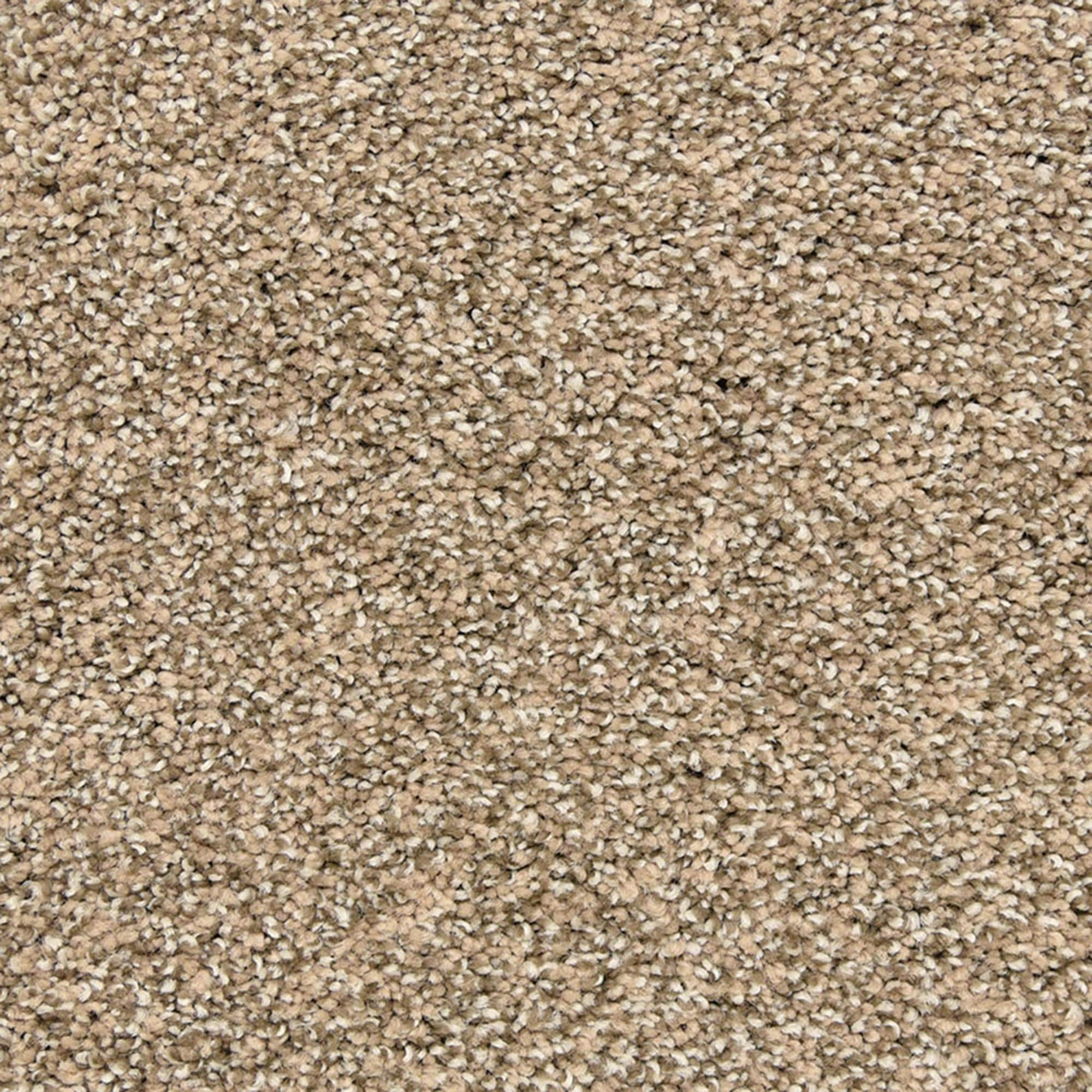 Dixie Home Natural Beauty Carpet in Fawn | NFM