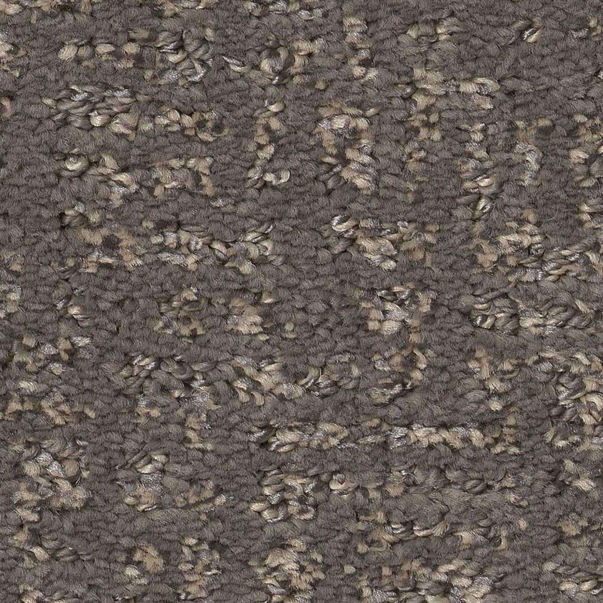 Anderson Tuftex Caboodle Carpet in Shade | NFM