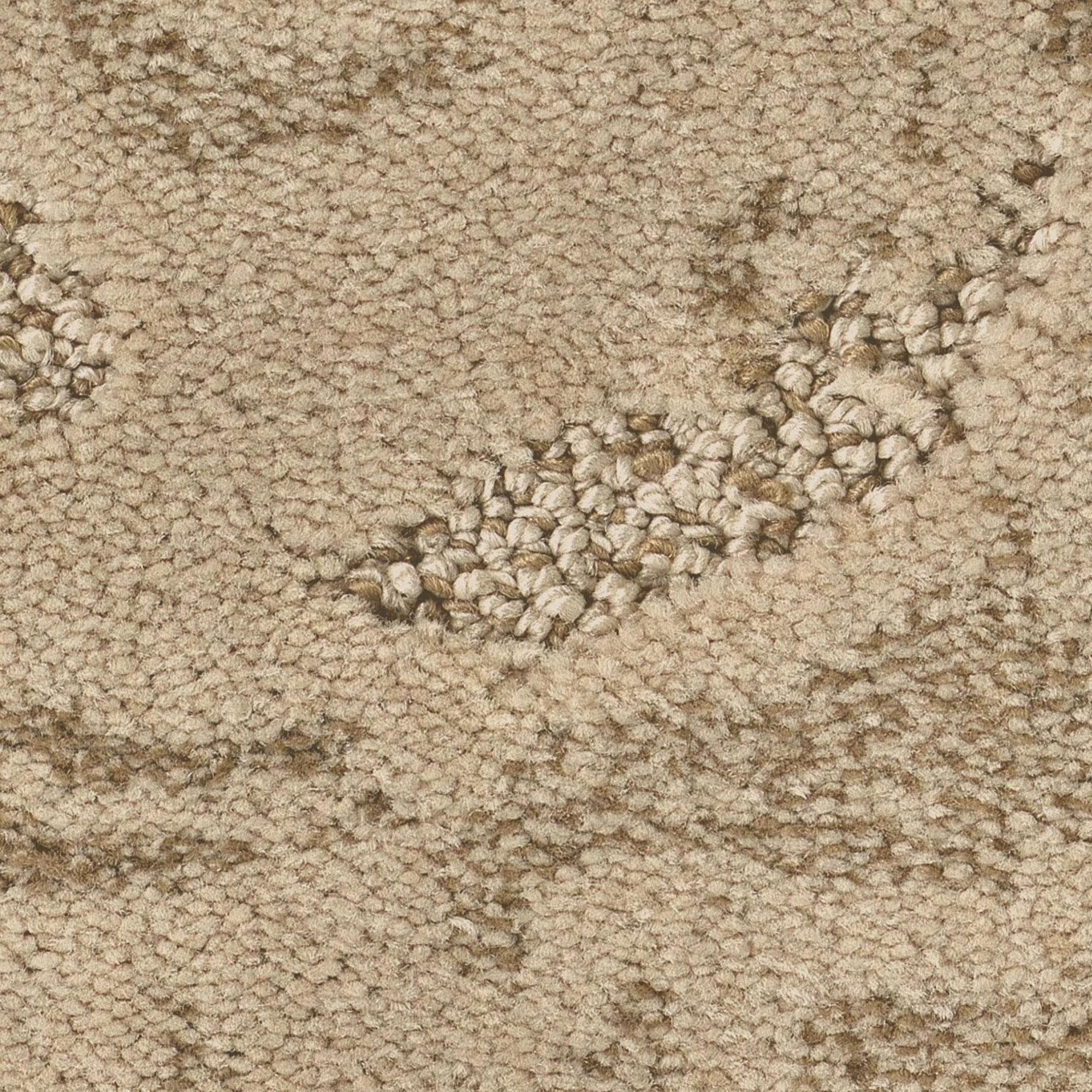 Anderson Tuftex Charismatic Carpet in Beach Grass | Shop NFM