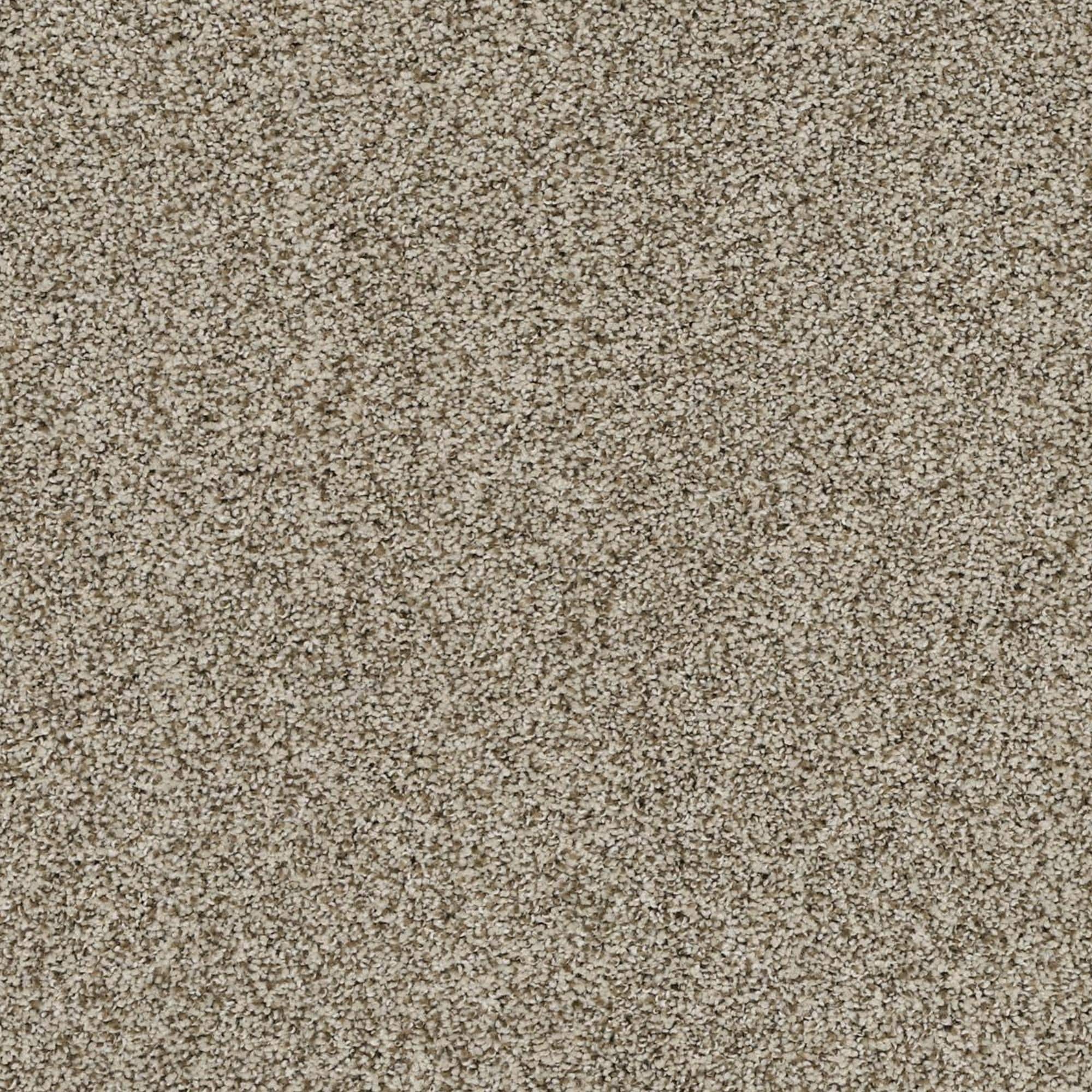 Karastan Stunning Balance Carpet in Cuban Sand | NFM