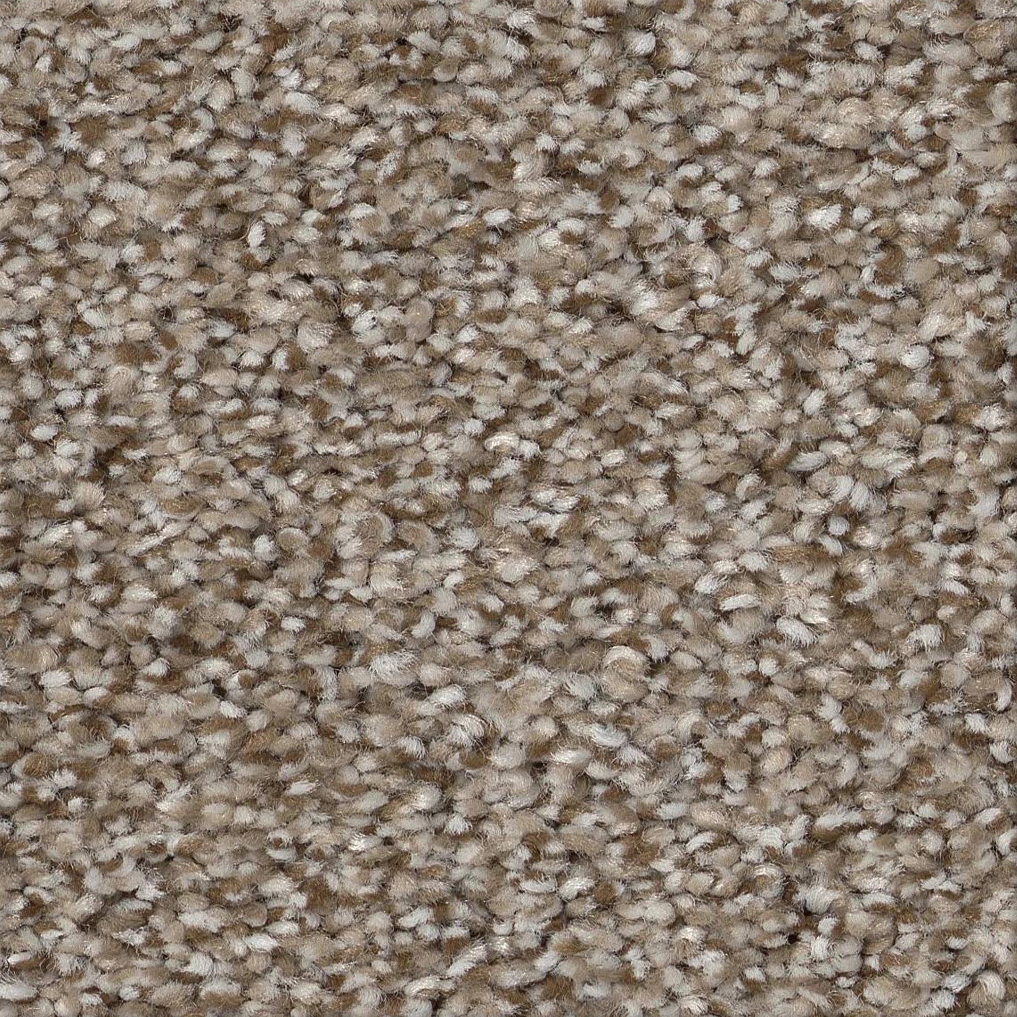 Philadelphia Truspirit Ii Carpet in Timeless Tan | NFM