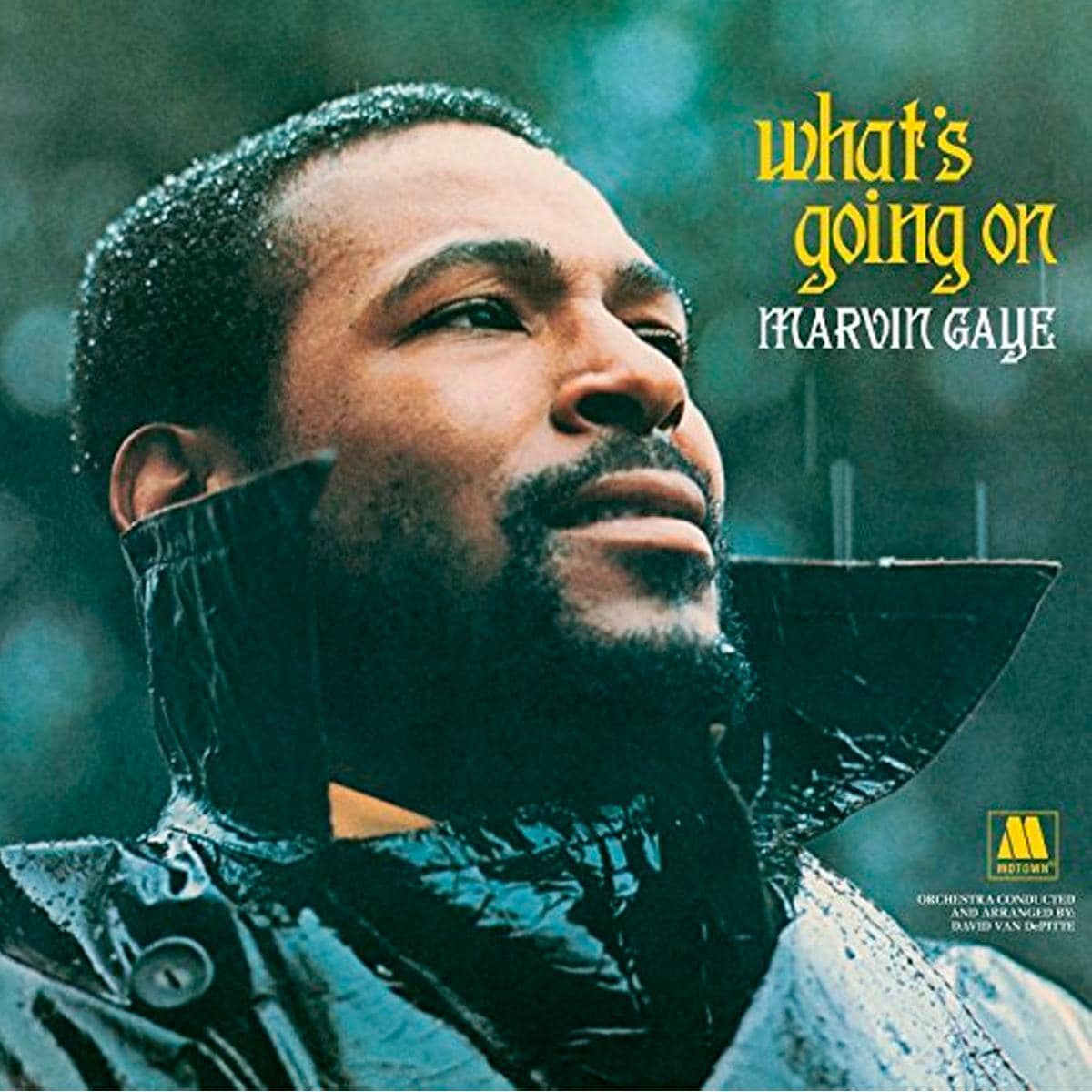 Marvin Gaye - What's Going On Vinyl LP | NFM