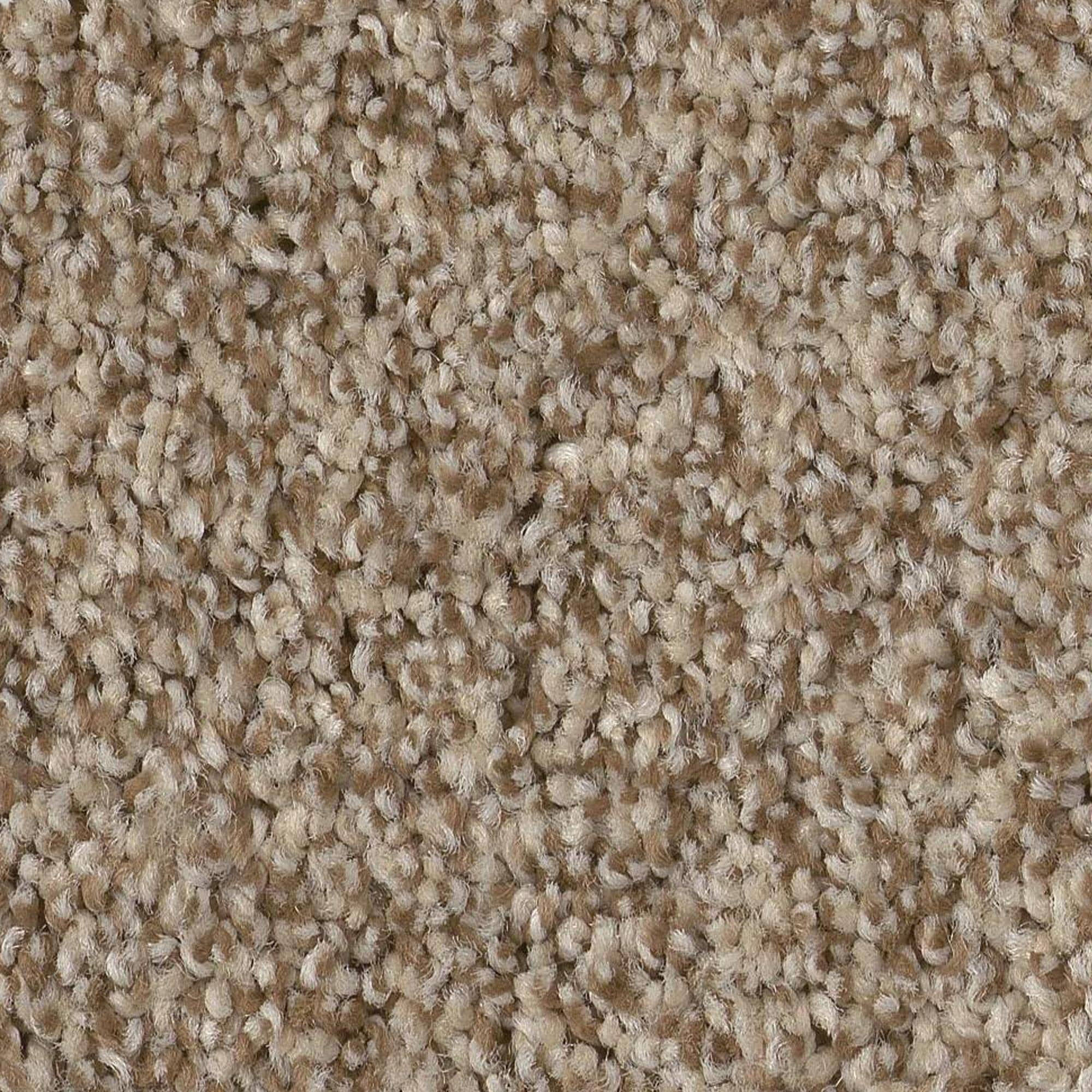 Anderson Tuftex Terra Nova Carpet in Landscape | Shop NFM